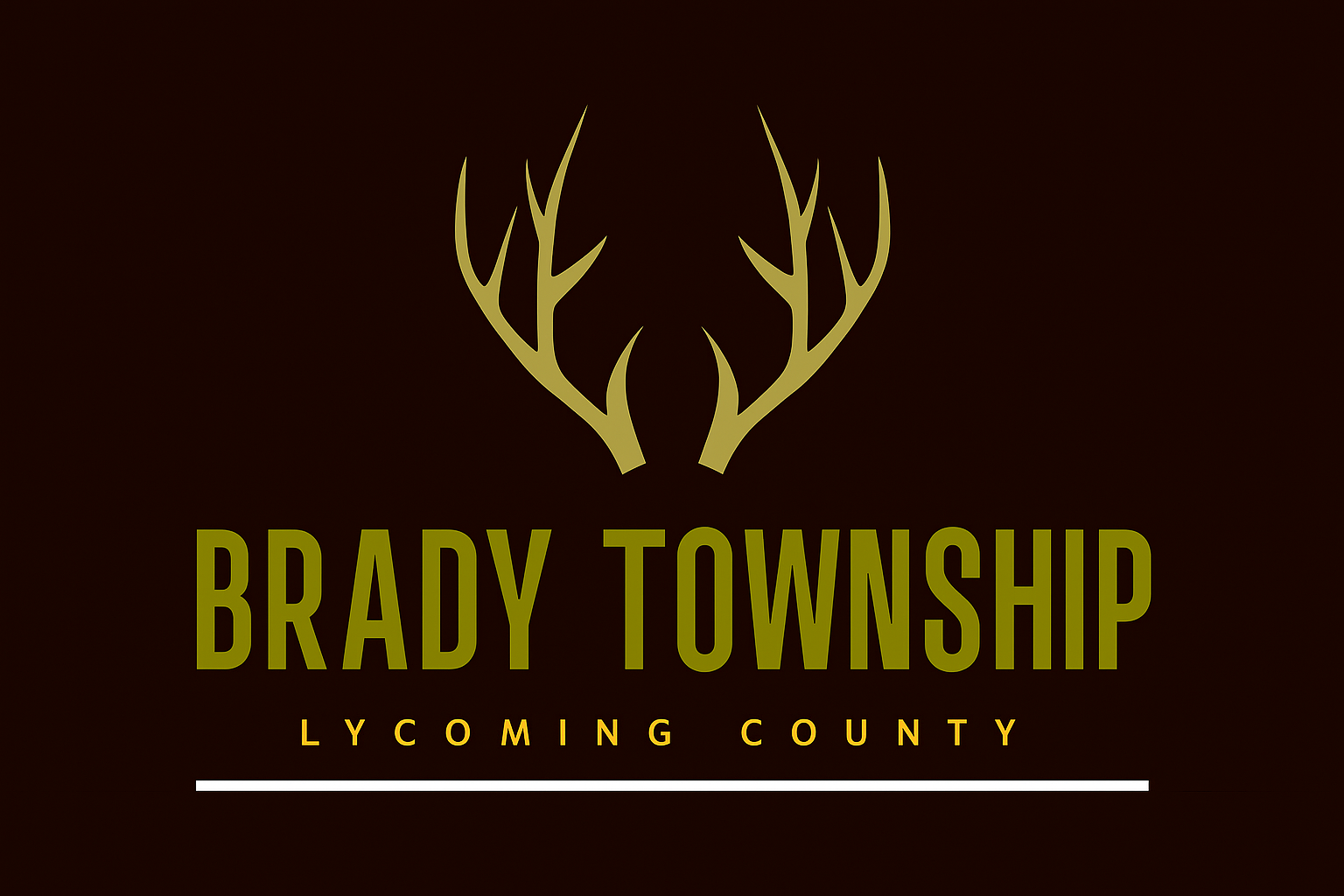 Brady Township logo